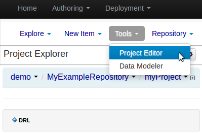 Selecting "Project Editor"