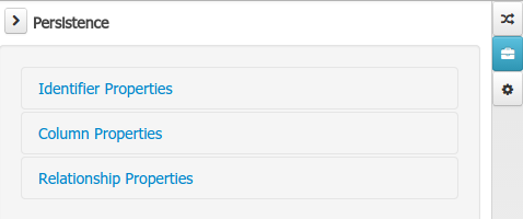 Persistence domain field editor sections