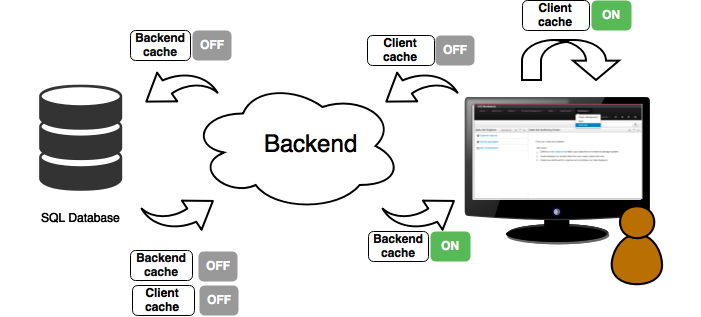 DataSetCacheArchitecture