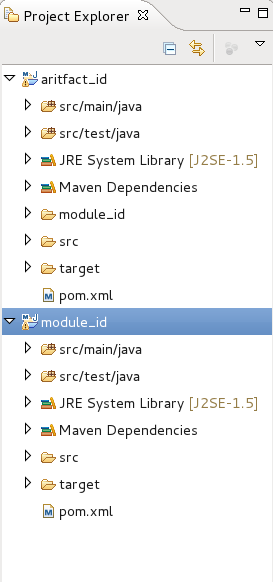 The module has now been created and appears in the Project Explorer.