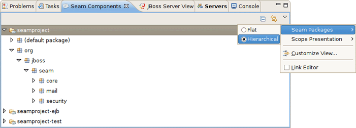 Hierarchical Presentation of Seam Packages