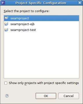 Project Specific Configuration