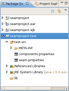 Seam-test Project