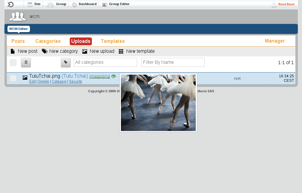 images/author/download/attachments/75137355/wcm-1.4.5-a-2.png