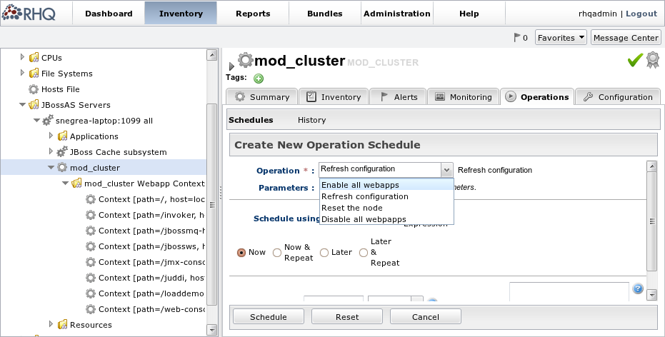 images/author/download/attachments/69535400/mod_cluster_global_operations.png