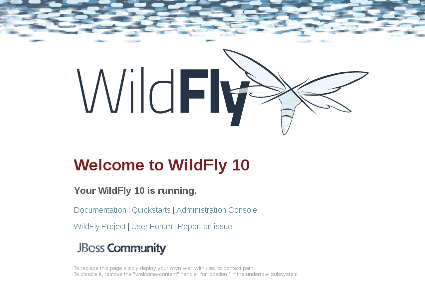 images/author/download/attachments/91947435/wildfly.png