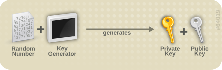 images/author/download/attachments/80873268/Public_key_making.png