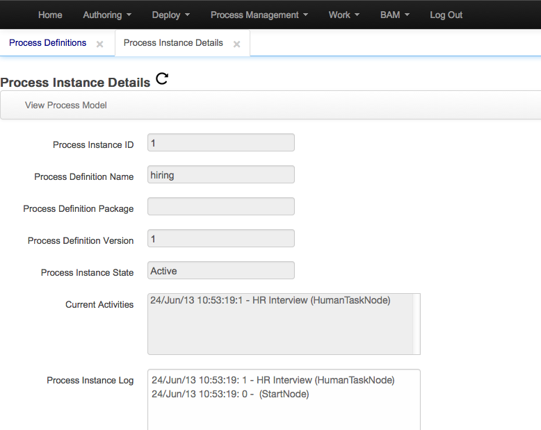 Process Instance Details
