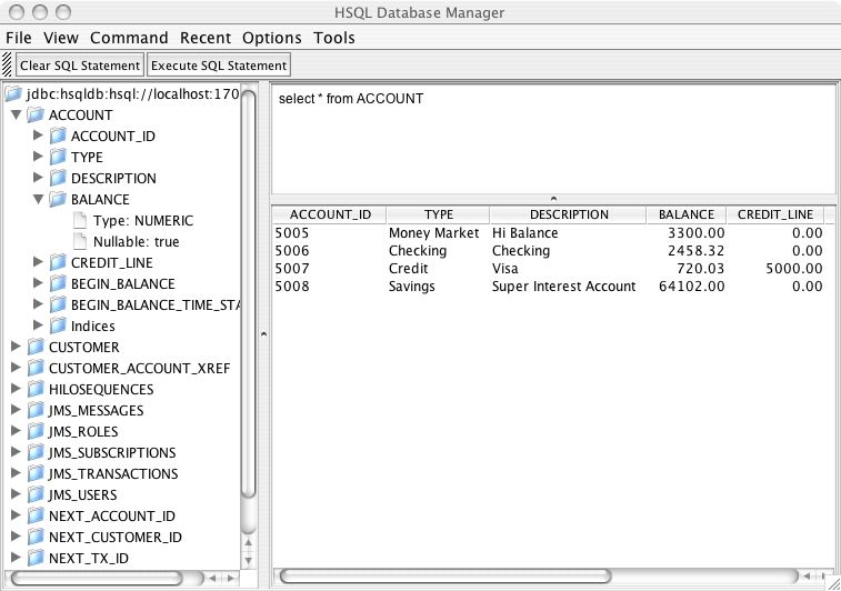 The HSQL Database Manger
