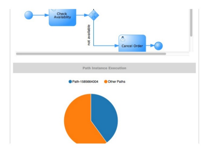Path execution details