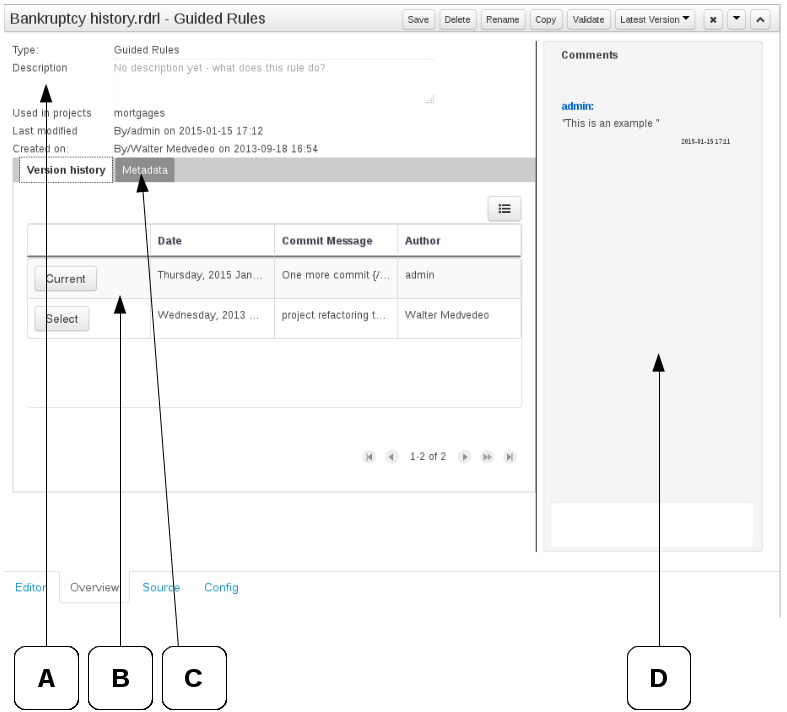 The Asset Editor - Overview tab