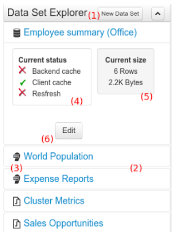 Data Set Explorer