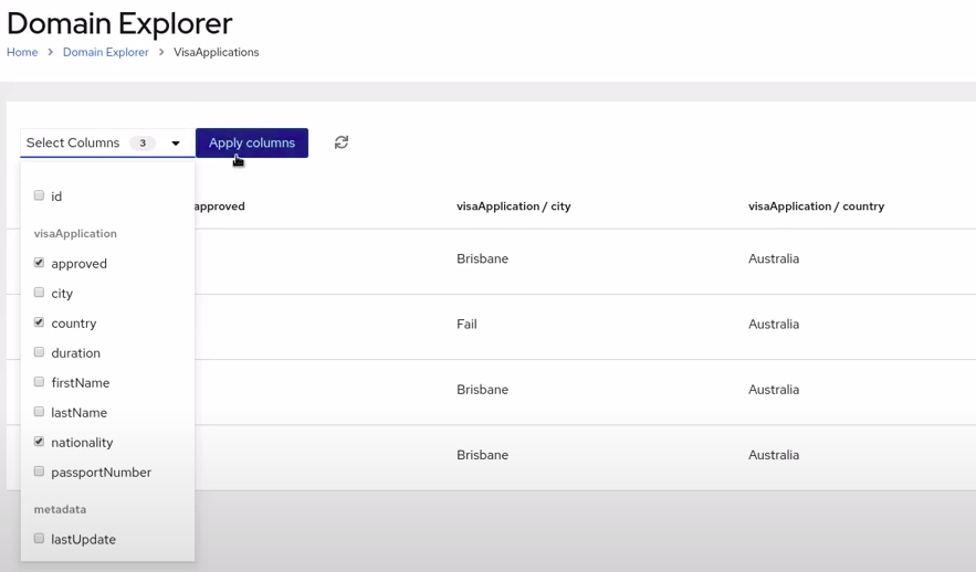 Image of attributes for VisaApplications domain data in Management Console
