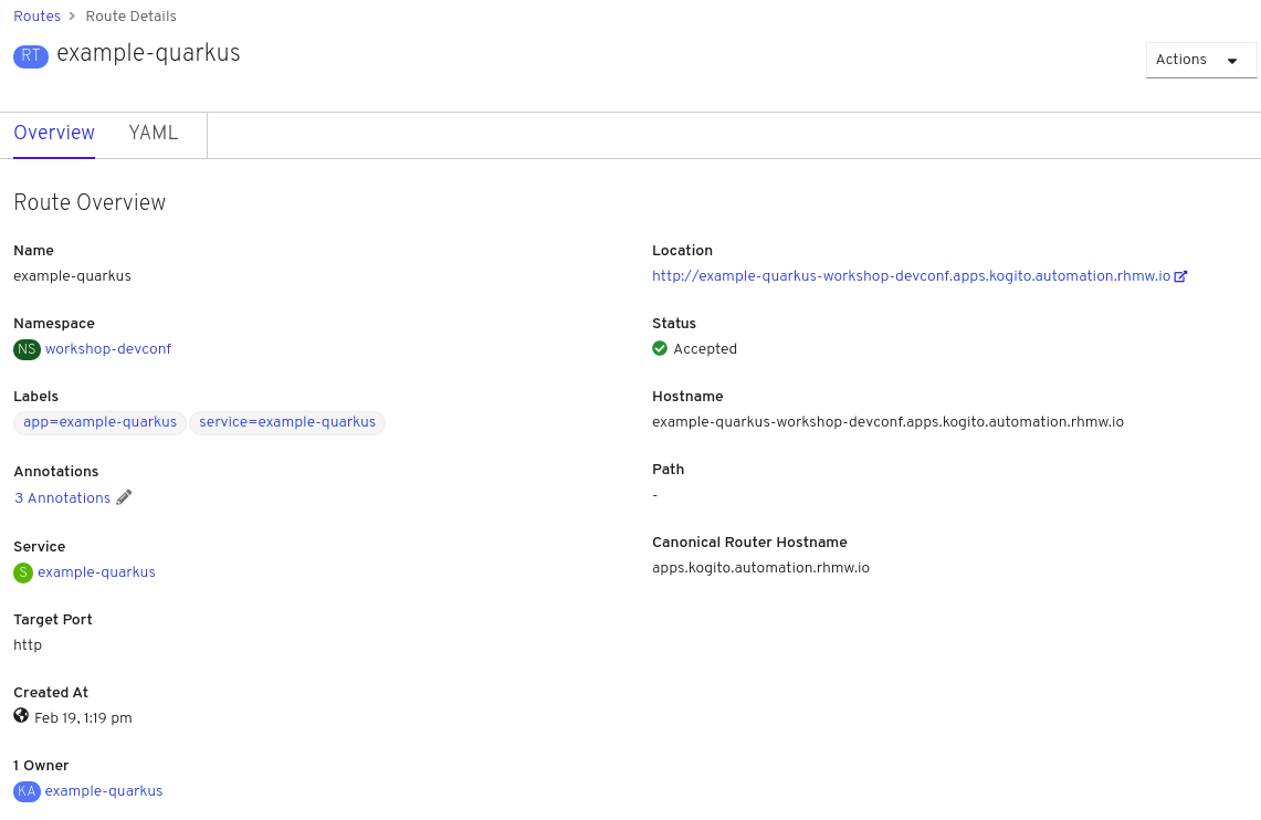 Image of Kogito service route details page in web console