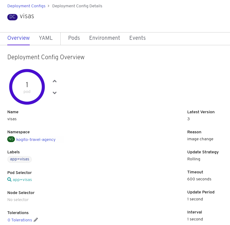 Image of visas service deployment details page in web console