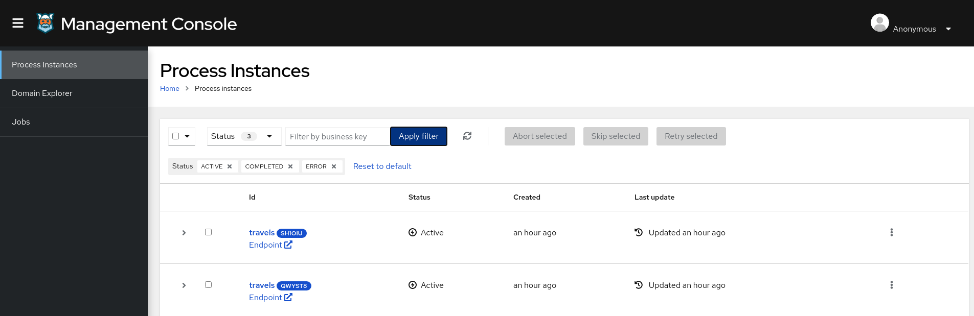 Image of process instance list section