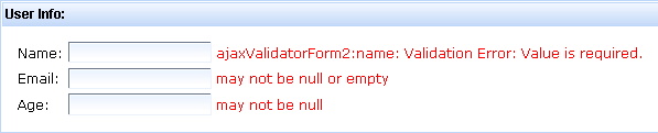 <rich:beanValidator> example result
