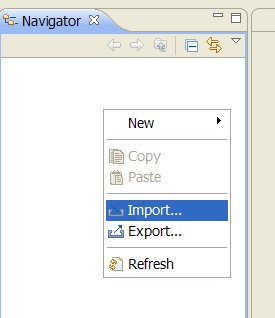 Select import from the Project Explorer context menu