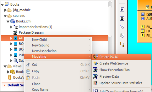 Create POJO Action