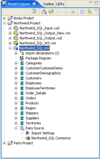 Model Explorer View