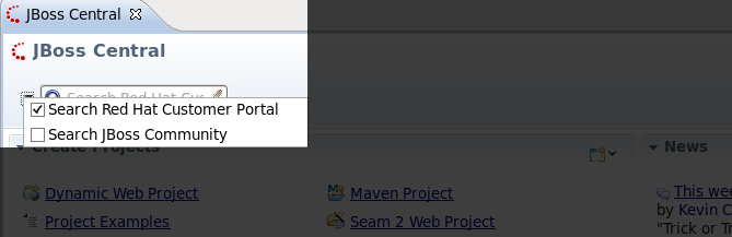 Search Options