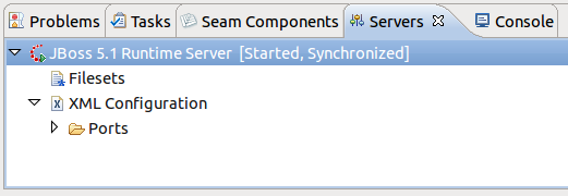The Servers view shows the installed servers and their current states.