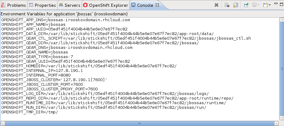 Viewing environment variables in the Console view.