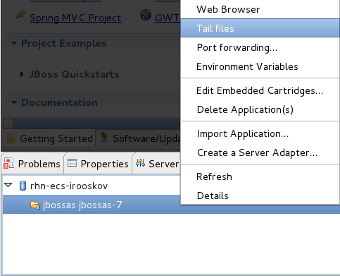 Selecting OpenShift server console viewing.