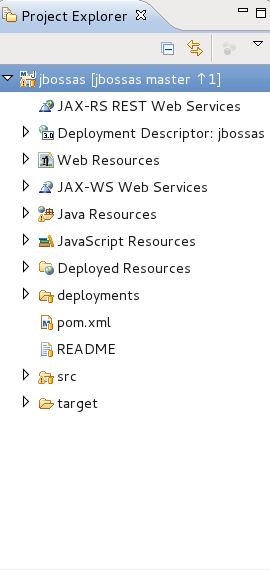 The project you just created is now available within the Project Explorer.