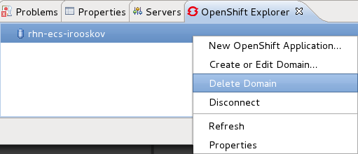 Selecting Delete Domain.