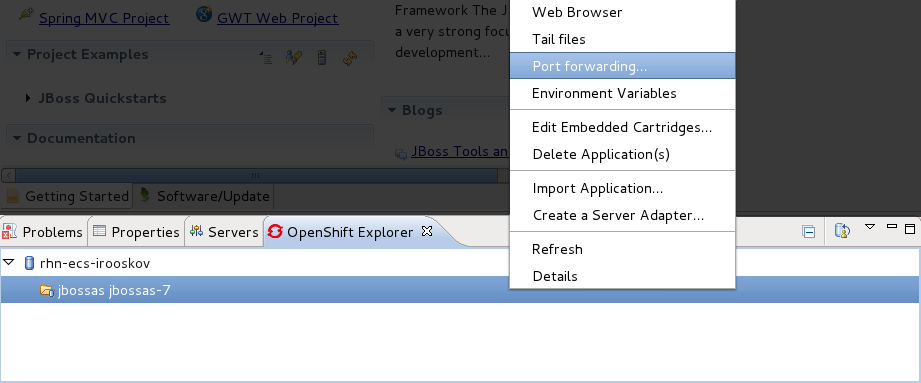 Selecting OpenShift application port forwarding.