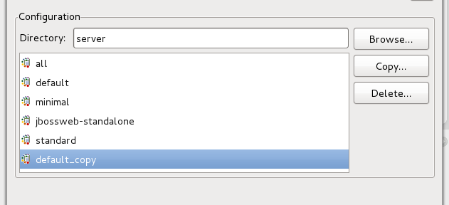 Runtime with copied configuration