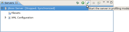 Start the Server in Profiling mode