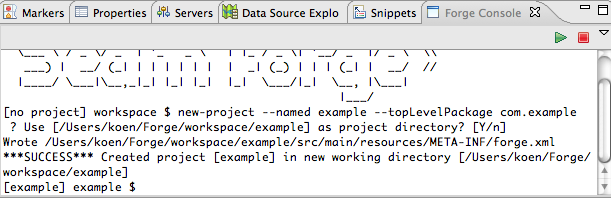 Execution of the new-project command.