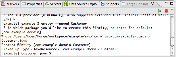Execution of the entity command.