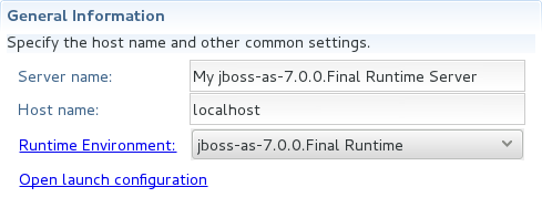 This section details essential information comprising the server definition: the name by which the server is identified in the IDE, the hostname of the server and the server runtime environment.