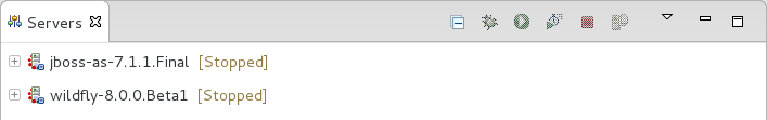 A default server adapter is automatically created for each generated server runtime environment to complete the server definition. Server adapters are listed in the Servers view.