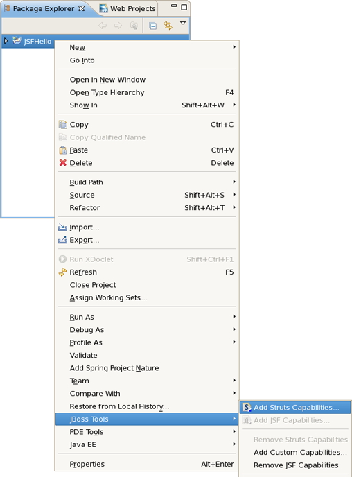 Adding Struts Capabilities