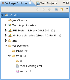 Package Explorer View