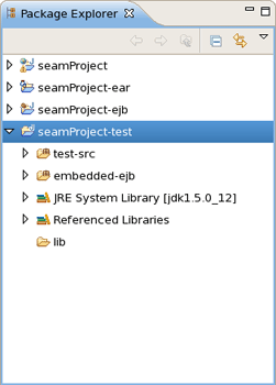 Seam-test Project