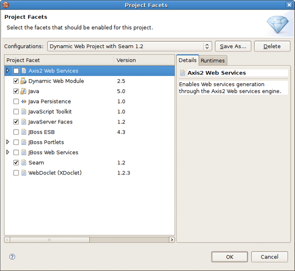 Project Facets Specifying