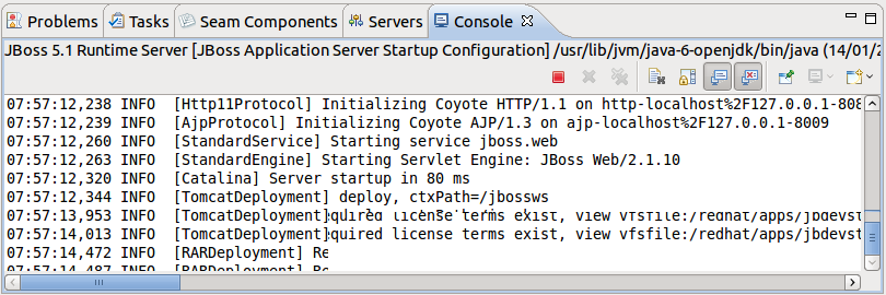 Console Output