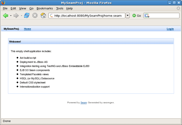 The Generated Application in Action