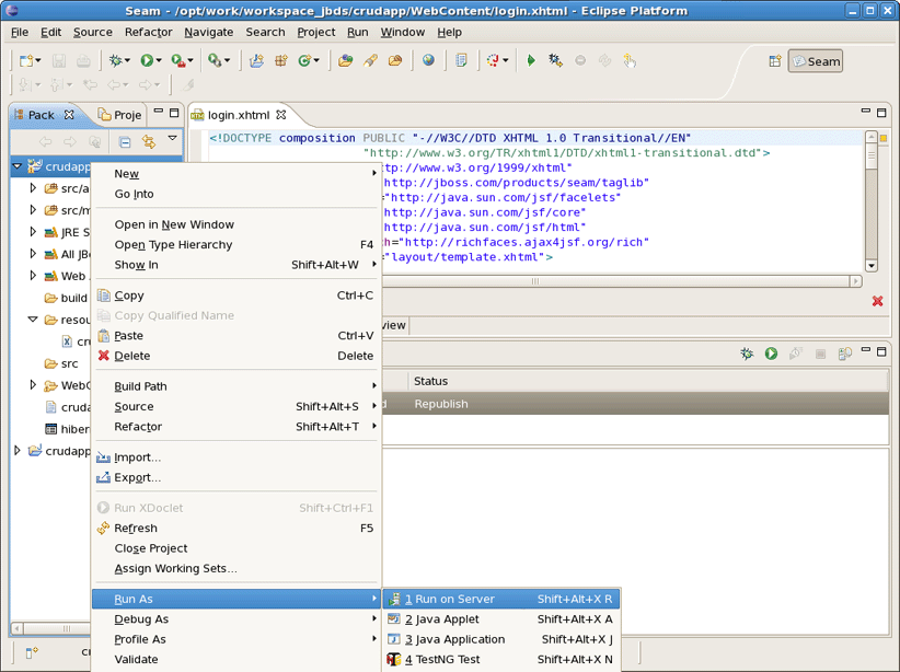 Run Project on Server