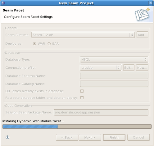 Last Step of New Seam Project Wizard