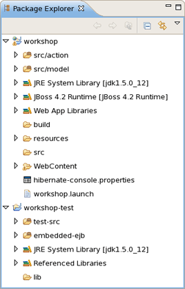"worskhop" Project in the Package Explorer