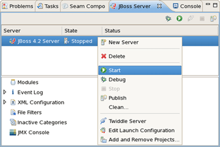 Starting from JBoss Server View
