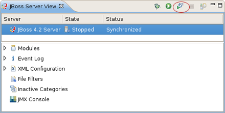Start the Server in Profiling mode