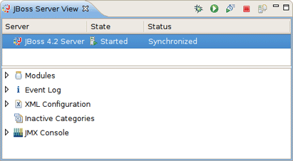 The JBoss Server View