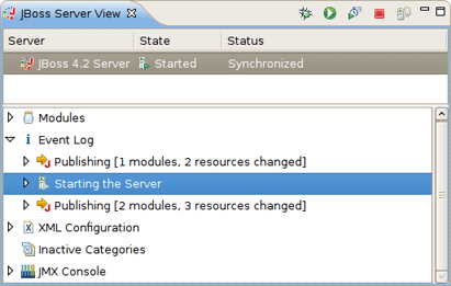Starting the Server